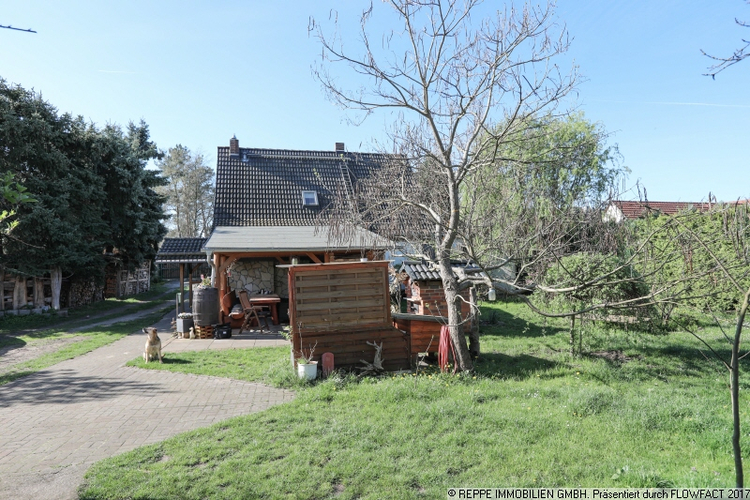 Blick aus dem Garten